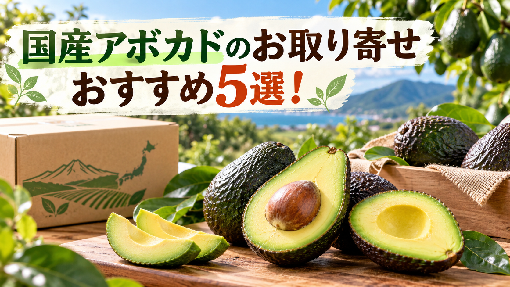 国産アボカドのお取り寄せおすすめ5選！